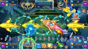 555win