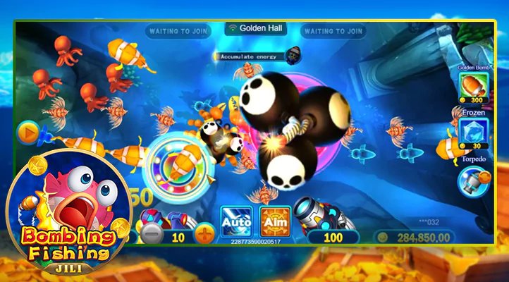 555win
